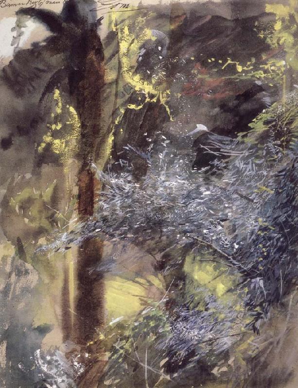 Anders Zorn Unknow work 31 Spain oil painting art
